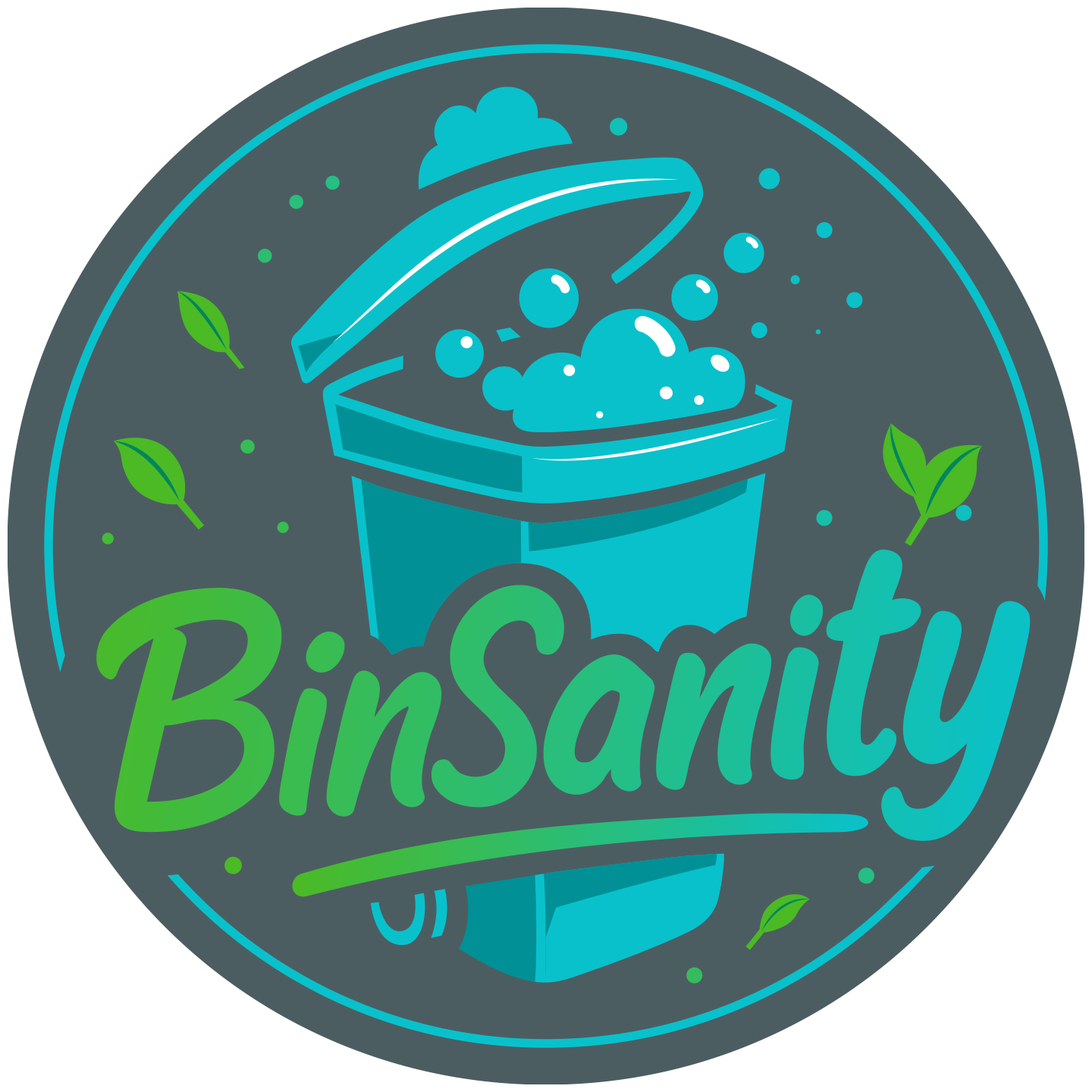 binsanity-semi-transparent